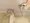 Prime Urban Sumiyoshi II - Interior - ["Plumbing fixture", "Plumbing", "Tap"] thumbnail