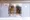Active Millennium Ikebukuro - Exterior - ["Door", "Home Door", "Household hardware"] thumbnail