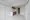 NOGATA RESIDENCE - Interior - ["Apartment", "Hardwood", "Wood flooring"] thumbnail