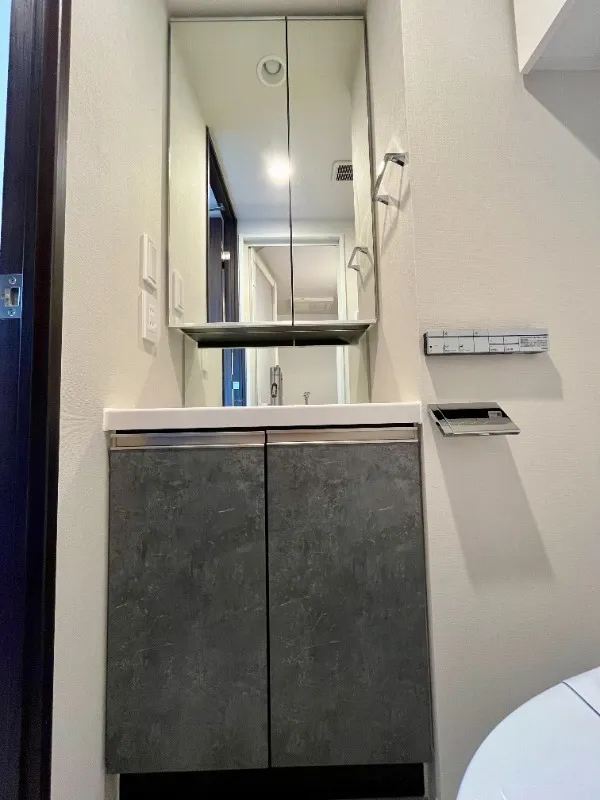 RESIDIA Monzen-Nakacho Place - Interior - ["Plumbing fixture", "Grey", "Bathroom cabinet"]