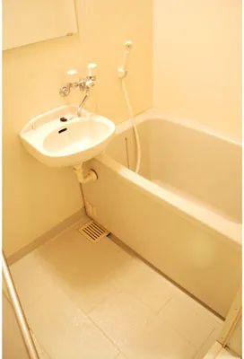 Cynthia Nihonbashi Shinkawa - Interior - ["Flooring", "Floor", "Plumbing fixture"]