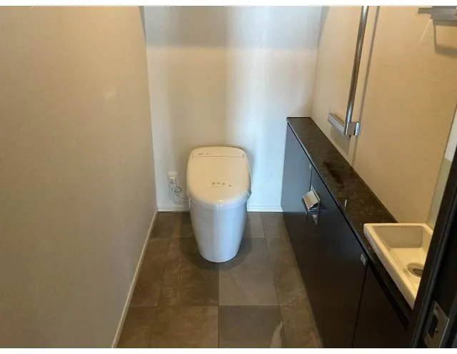 The Park House Nishi-Shinjuku Tower 60 - Interior - ["Flooring", "Floor", "Plumbing fixture"]