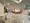 Cross Residence Shirokane Takanawa - Exterior - ["Property", "Tile flooring", "Interior design"] thumbnail