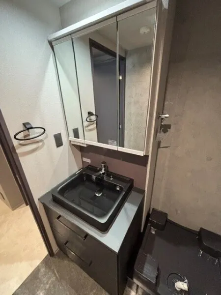 EXAM AKASAKA - Interior - ["Bathroom Sink", "Plumbing fixture", "Bathroom cabinet"]