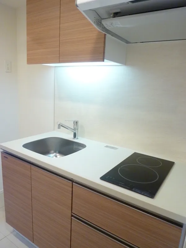 Casa Splendid Akasaka 7-Chome - Interior - ["Flooring", "Floor", "Wood flooring"]