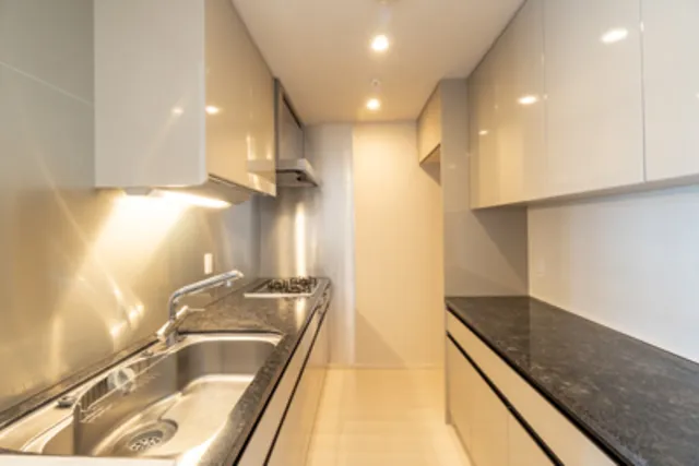 Park Homes Minami Azabu The Residence - Interior - ["Kitchen sink", "Countertop", "Sink"]
