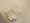 Across Meguro Tower - Interior - ["Toilet seat", "Plumbing fixture", "Flooring"] thumbnail