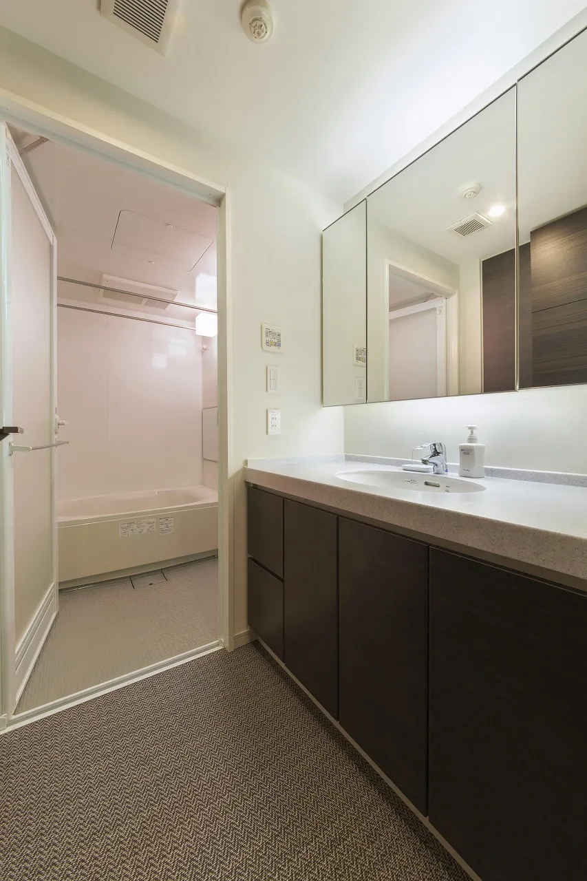 Platine Nishi Shinjuku - Interior - ["Mirror", "Bathroom cabinet", "Sink"]