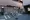 Phoenix Hatagaya Ichibankan - Other - ["Bicycle", "Bicycle tire", "Bicycle frame"] thumbnail