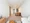 Lieto Court Musashi Kosugi East Tower thumbnail