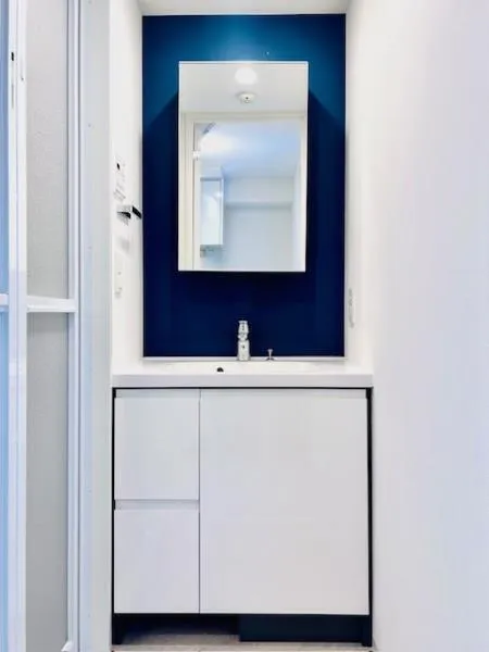 Brillia Ist Shibuya Honmachi - Interior - ["Bathroom cabinet", "Plumbing fixture", "Flooring"]