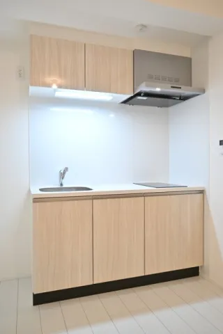 The Residence Nihonbashi - Interior - ["Interior design", "Countertop", "Apartment"]