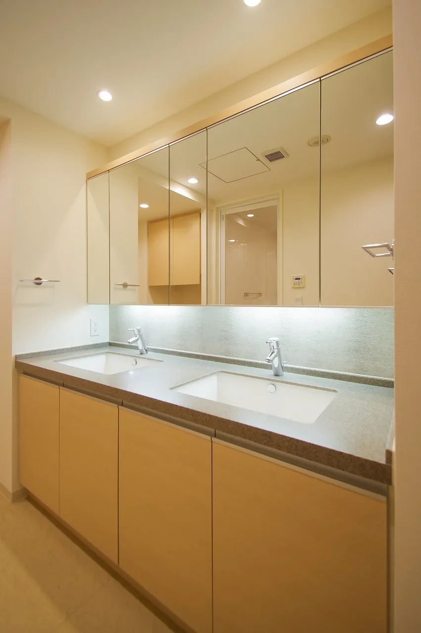Central Park Tower La Tour Shinjuku - Interior - ["Brown", "Tap", "Bathroom cabinet"]