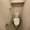 Park Axis Ueno Grace Court - Interior - ["Toilet seat", "Toilet", "Plumbing fixture"] thumbnail