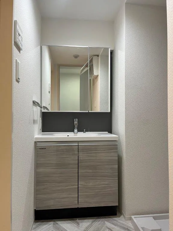LiveFlat Togoshi - Interior - ["Mirror", "Bathroom cabinet", "Tap"]
