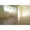 Comforia Shin-Nakano - Interior - ["Wood", "Fixture", "Window"] thumbnail