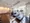 Shinagawa Prince Residence - Other - ["Flooring", "Interior design", "Floor"] thumbnail