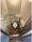 Brantour Ebisu - Interior - [] thumbnail