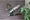 Plaire Duc Kameido 6-Chome - Exterior - ["Metal", "Silver", "Sign"] thumbnail