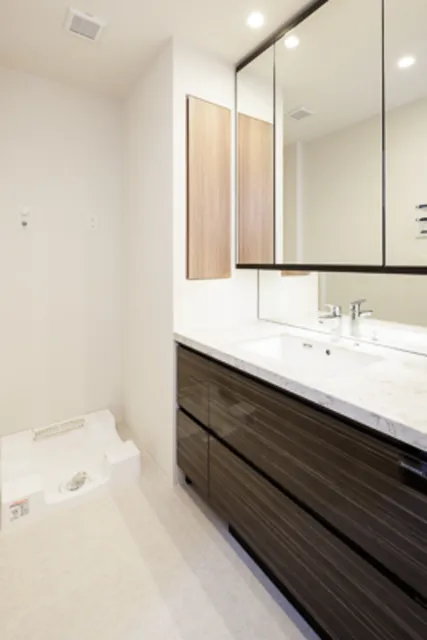 LEGASIS Nakameguro - Interior - ["Mirror", "Bathroom cabinet", "Cabinetry"]