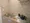 Castalia Shiba-Koen - Interior - ["Tap", "Kitchen sink", "Sink"] thumbnail