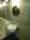 Ombrage - Interior - ["Bathroom", "Bathroom Sink", "Plumbing fixture"] thumbnail