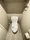 Residia Shinkawa  - Interior - ["Toilet seat", "Toilet", "Flooring"] thumbnail