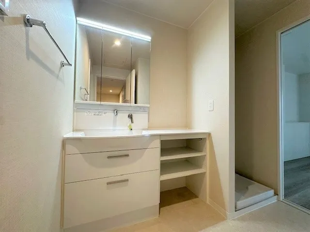 Hiroo Apartment - Interior - ["Mirror", "Bathroom cabinet", "Sink"]