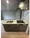 Baus Flats Kuramae - Interior - ["Kitchen Appliance", "Major appliance", "Kitchen"] thumbnail