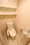 Prime Urban Ebisu II - Interior - ["Toilet seat", "Plumbing fixture", "Bathroom sink"] thumbnail
