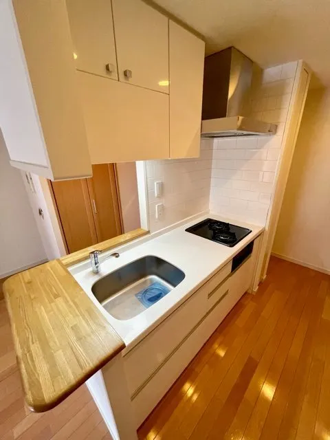 Residia Ochanomizu - Interior - ["Cabinetry", "Kitchen sink", "Countertop"]