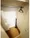Maison De Ville Takanawa - Interior - ["Hardwood", "Clothes hanger", "Household hardware"] thumbnail