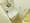 Sky Court Ryogoku Ichibankan - Interior - ["Apartment", "Plumbing fixture", "Plumbing"] thumbnail