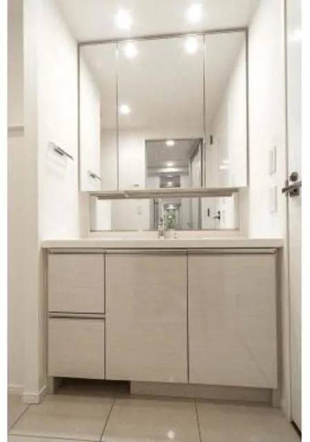 Park Homes Nihonbashi Hamacho 2-Chome Libio Garden - Interior - ["Flooring", "Bathroom cabinet", "Bathroom Sink"]