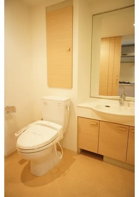 Prospect Ogikubo - Interior - ["Sink", "Property", "Plumbing fixture"]