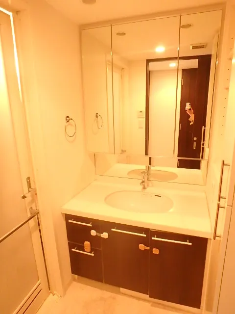 Ecology Asakusa Bridge Residence - Interior - ["Mirror", "Bathroom cabinet", "Cabinetry"]