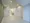 Castalia Azabujuban Ⅱ  - Interior - ["Flooring", "Floor", "Ceiling"] thumbnail
