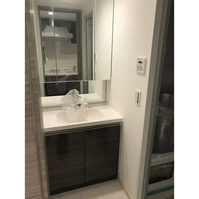 Bow Flats Sumiyoshi - Interior - ["Mirror", "Sink", "Property"]