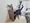 Mynavi STAY Higashioi - Interior - ["Furniture", "Wood", "Desk"] thumbnail