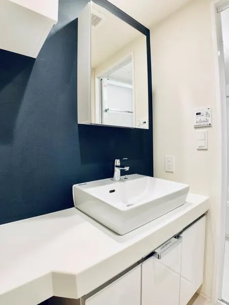 Brillia Ist Sendagaya - Interior - ["Bathroom Sink", "Plumbing fixture", "Sink"]
