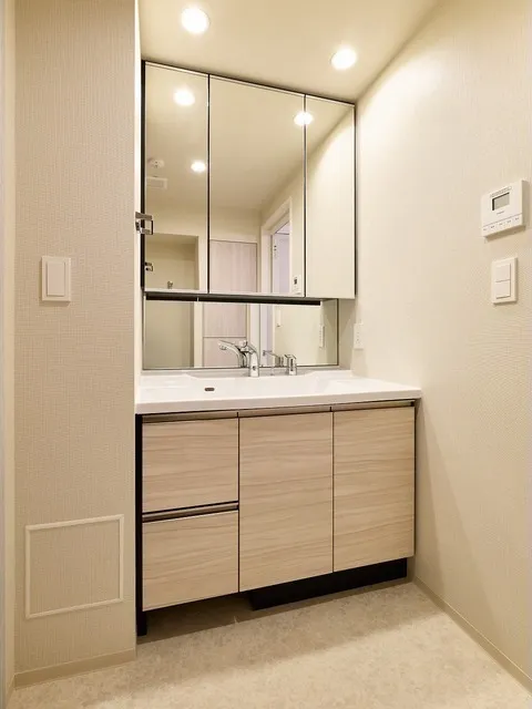 Comforia Liv Nishioshima SOUTH - Interior - ["Flooring", "Bathroom cabinet", "Floor"]
