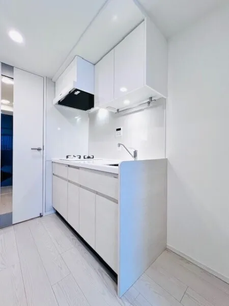 Brillia Ist Shibuya Honmachi - Interior - ["Flooring", "Floor", "Interior design"]