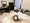 Crevista Kameido III - Interior - ["Interior design", "Bed", "Bedroom"] thumbnail