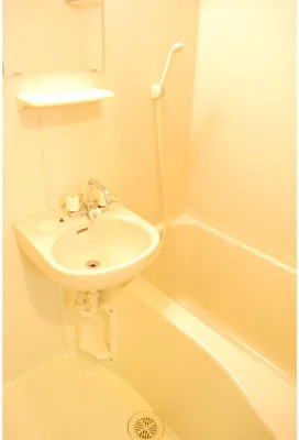 Sky Court Korakuen East - Interior - ["Flooring", "Floor", "Bathroom"]