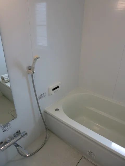 Flats Jun - Interior - ["Bathtub", "Plumbing fixture", "Property"]