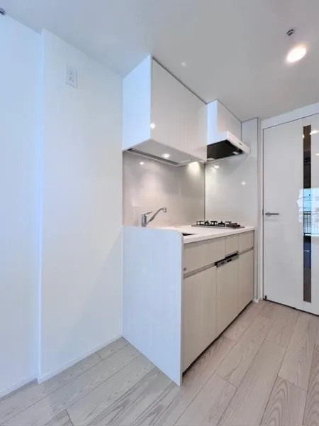 Brillia Ist Oimachi - Interior - ["Kitchen", "Apartment", "Flooring"]