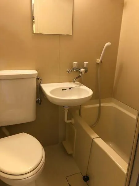 Jeunesse Magome - Interior - ["Plumbing fixture", "Bathroom", "Bathroom Sink"]