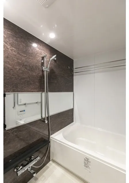 Tokyo Port City Takeshiba Residence Tower - Interior - ["Flooring", "Plumbing fixture", "Floor"]