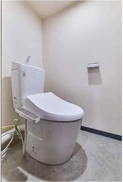 Prele Duc Kinshi Park - Interior - ["Toilet seat", "Plumbing fixture", "Toilet"]