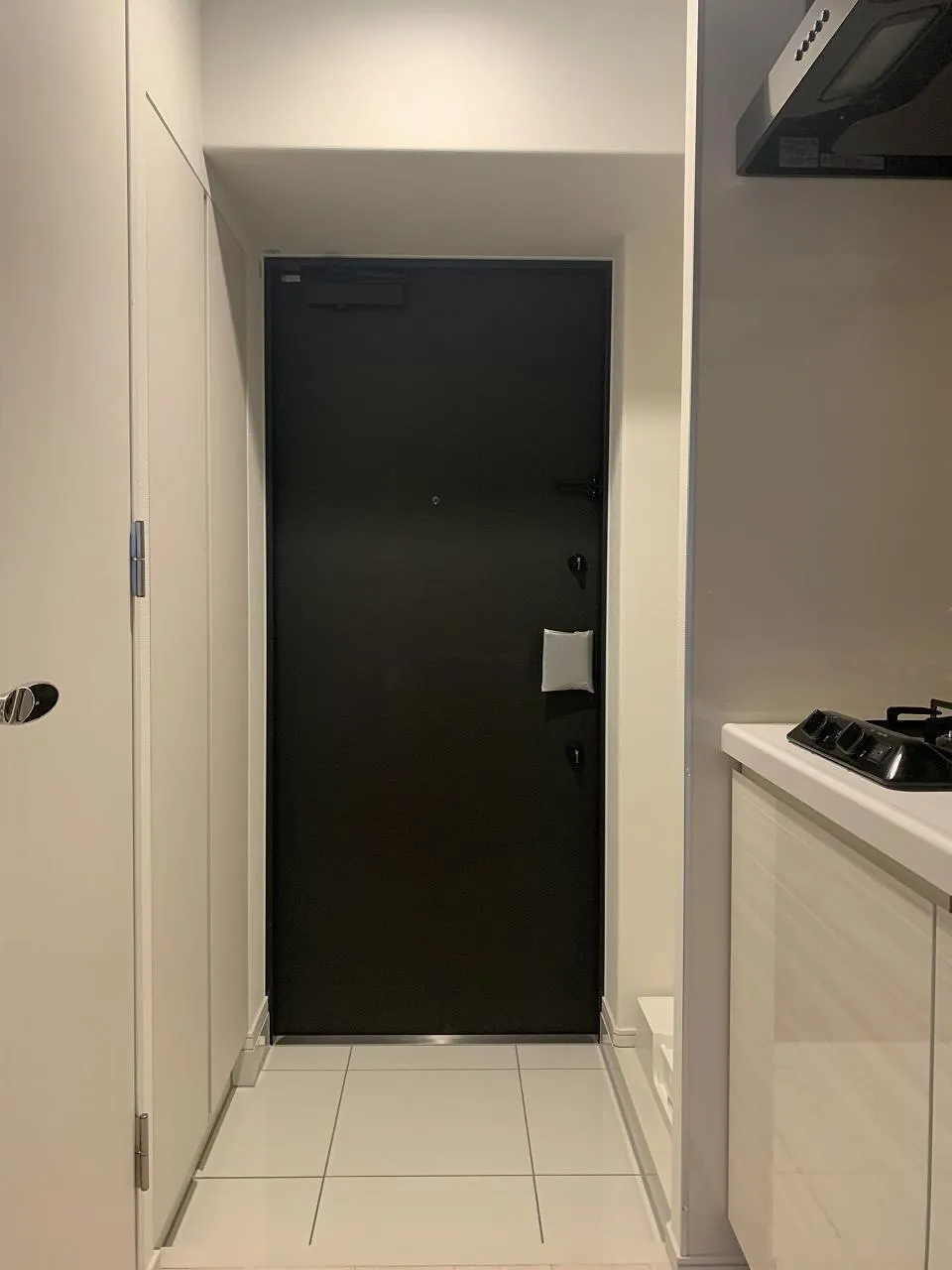Gran Casa Oshima - Interior - ["Interior design", "Door", "Fixture"]